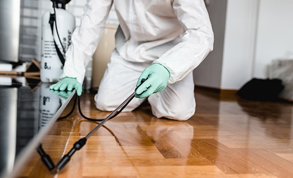 The Hidden Health Risks of Living With Pests