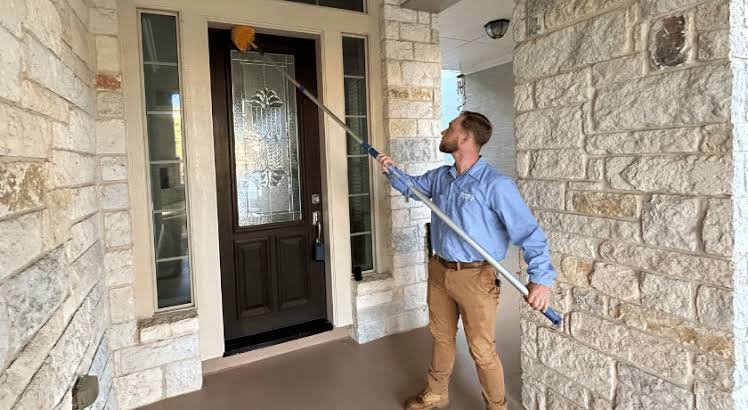 Why Clean Homes Still Get Pest Infestations