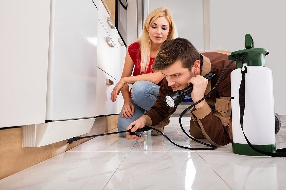 Apartment Pest Control vs Independent House Pest Control