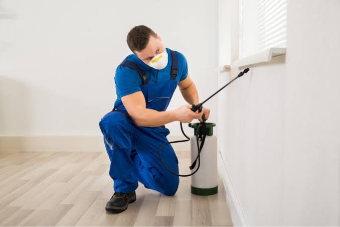 Apartment Pest Control vs Independent House Pest Control