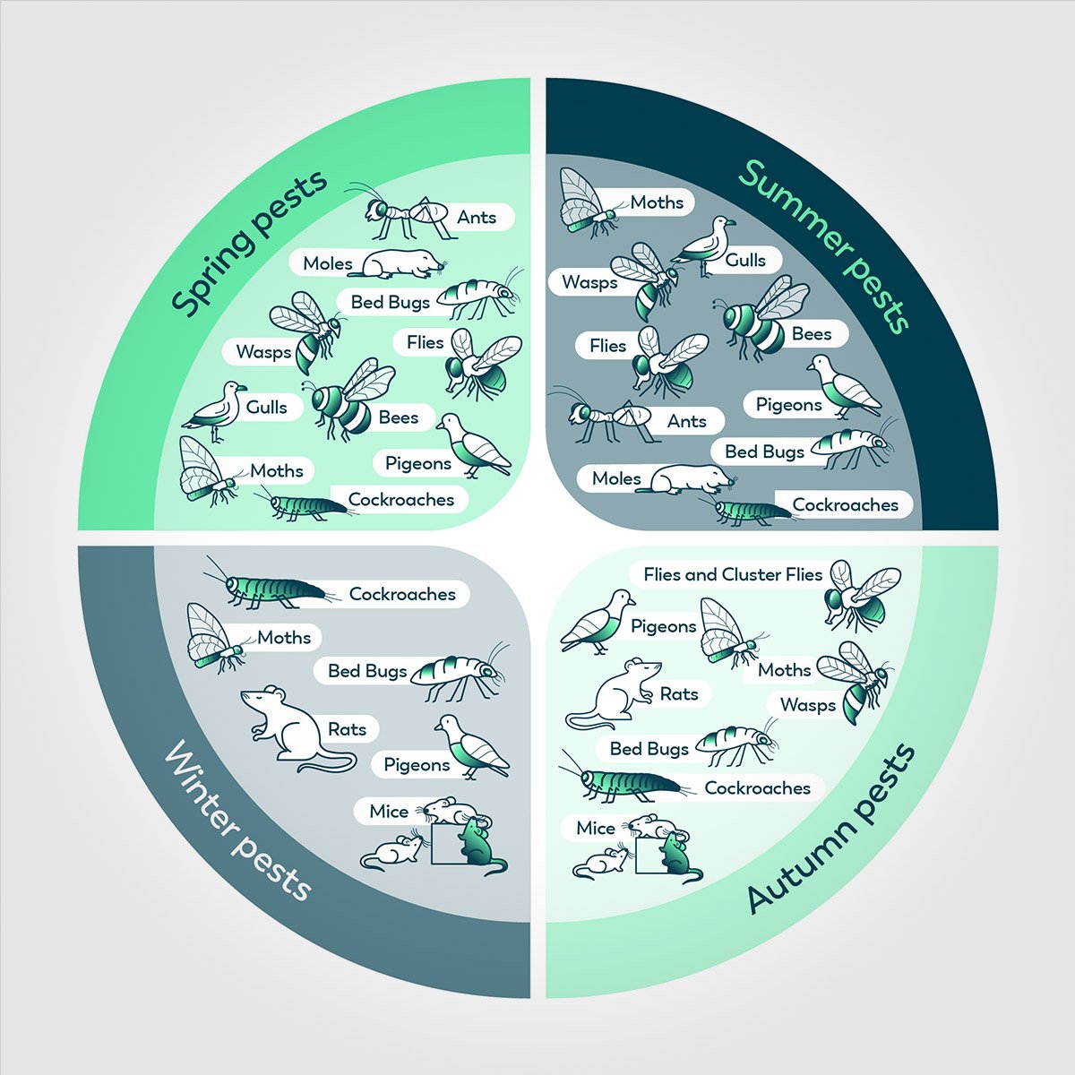 Seasonal Pest Calendar for Indian Homes