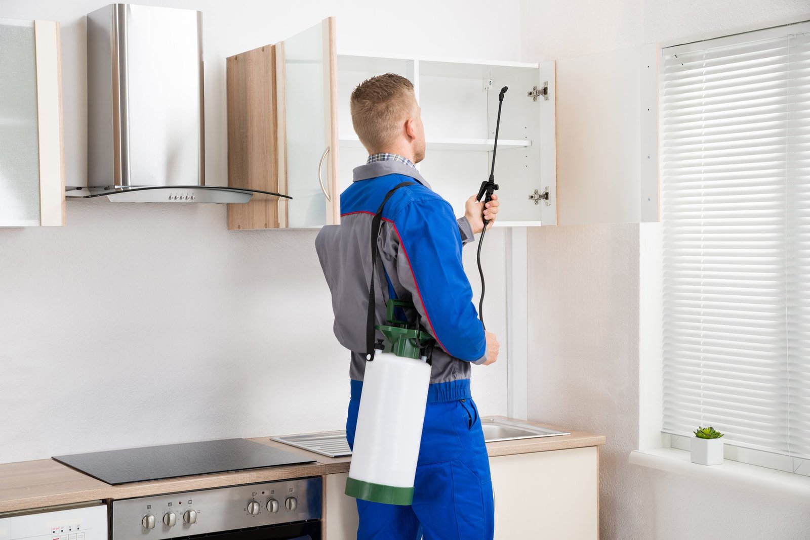 pest-control-image