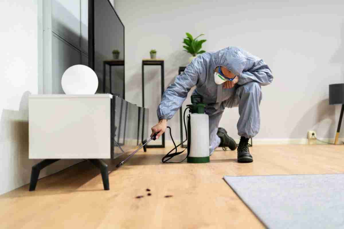 How Pests Enter Your Home: 15 Common Entry Points You May Be Missing