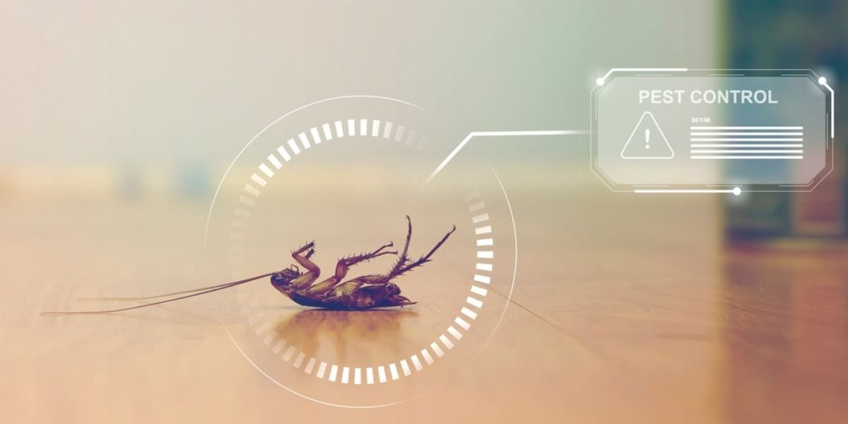 Pest Control Myths That Cost Homeowners Thousands of Rupees