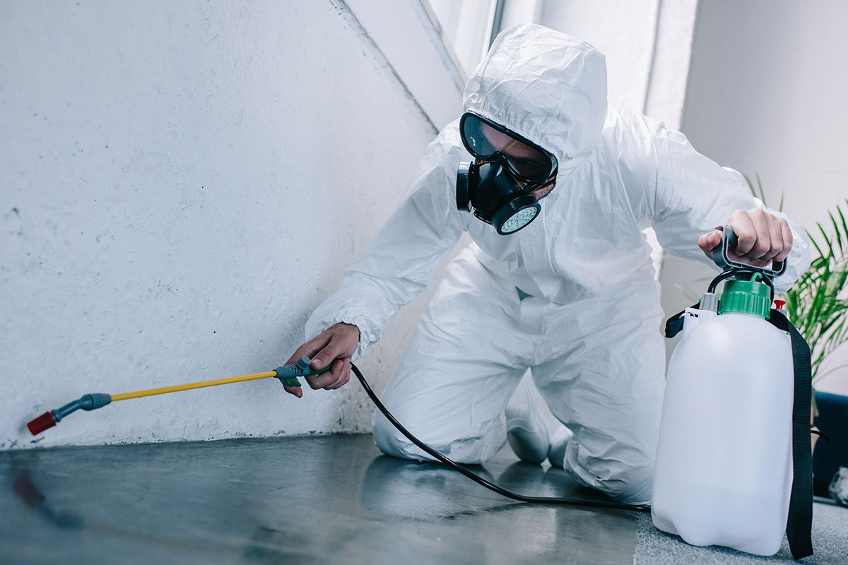 A Complete Guide to Pest-Proofing Your Home Year-Round