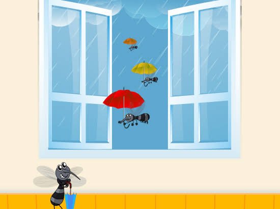 The Most Common Monsoon Pests and How to Prevent Them