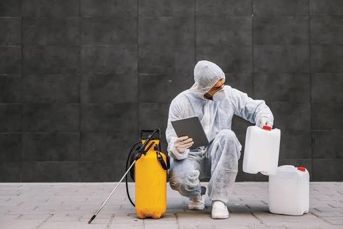A Complete Guide to Pest-Proofing Your Home Year-Round