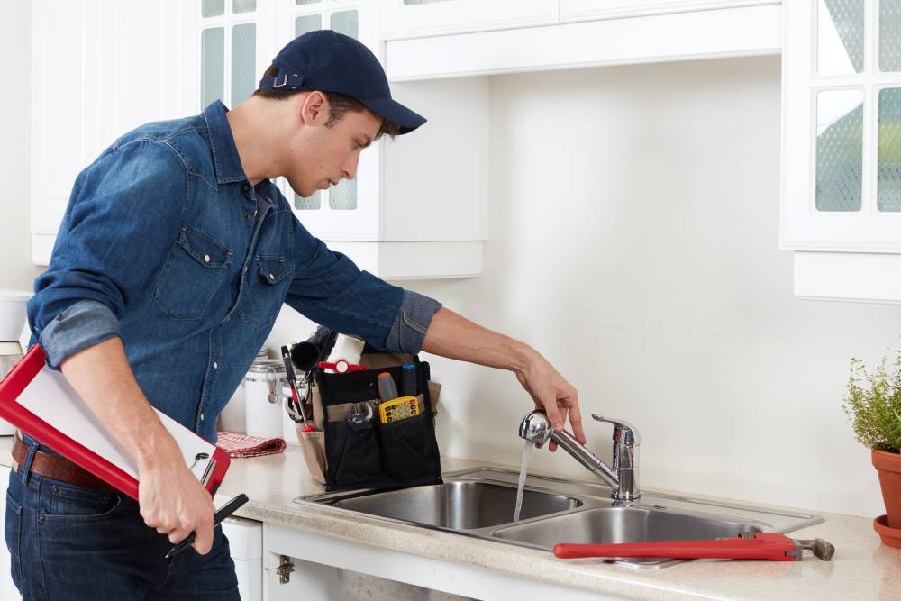 Top Pest Problems Faced by Indian Homeowners