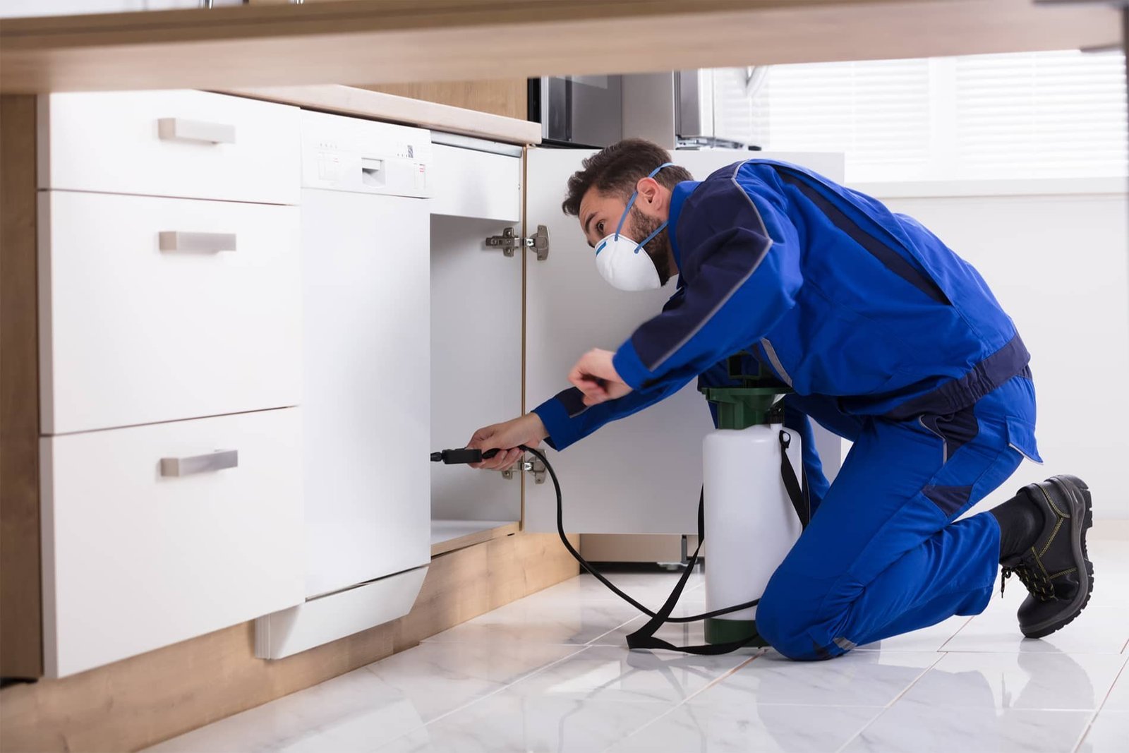 pest-control-image