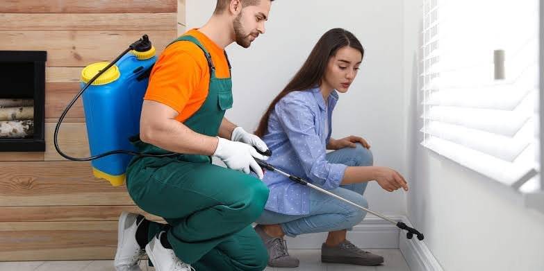 Termite Treatment Cost in India: A Detailed Price Breakdown