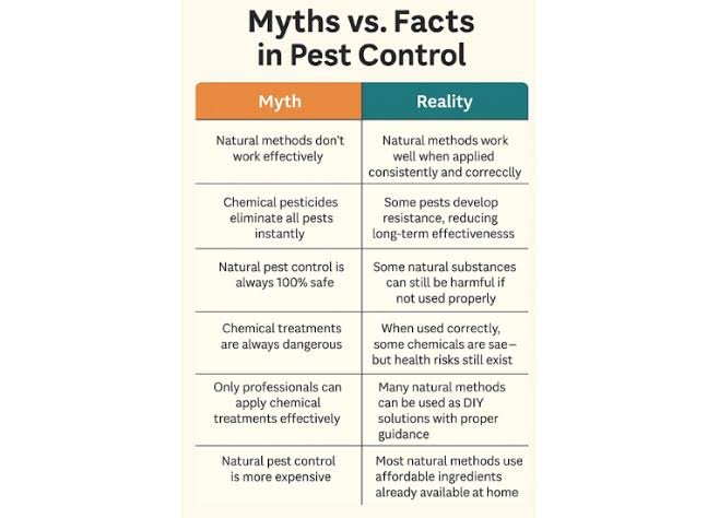 Natural Pest Control Remedies: What Works and What Is a Myth
