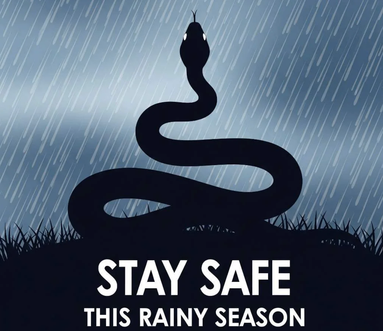 Monsoon Snake Safety